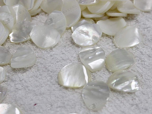 Mother of pearl petals for jewelry making 15x20mm 白貝