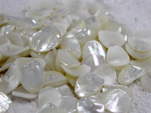 Mother of pearl petals for jewelry making 15x20mm 白貝