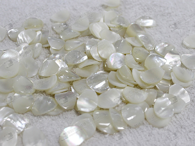 Mother of pearl petals for jewelry making 15x20mm 白貝