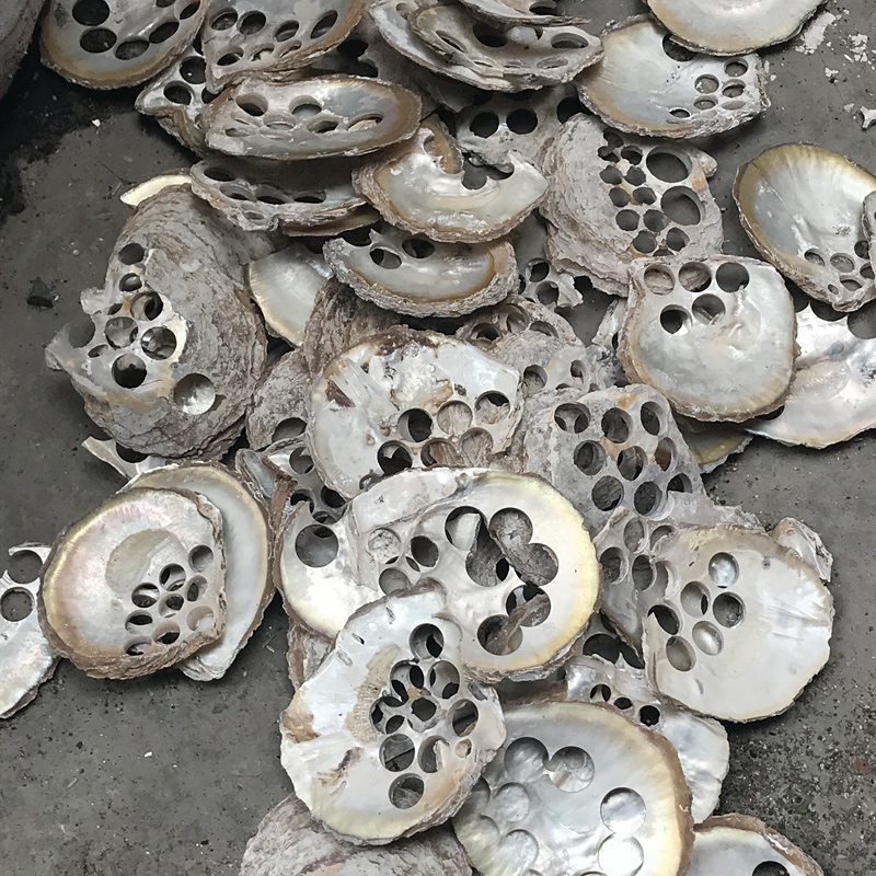 White mother of pearl shells